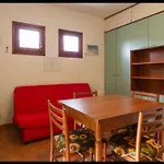 Airport-GARDEN-Shuttle till night-pool-AIRCOND-Wifi-parking free-Wash machine * Olbia