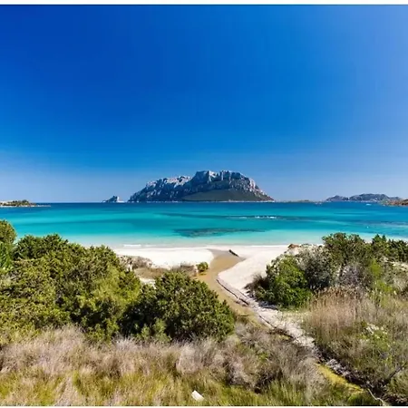 Airport-GARDEN-Shuttle till night-pool-AIRCOND-Wifi-parking free-Wash machine Lägenhet Olbia